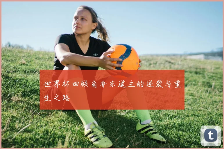 世界杯回顾南非东道主的逆袭与重生之路